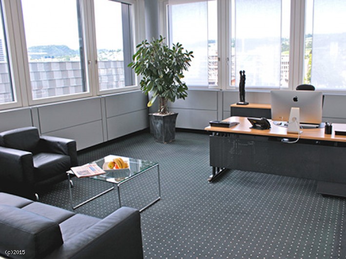 Zug Dammstrasse Dammstrasse 19
