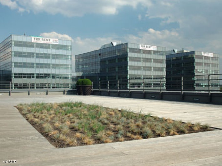 Brno City Holandská 2/4